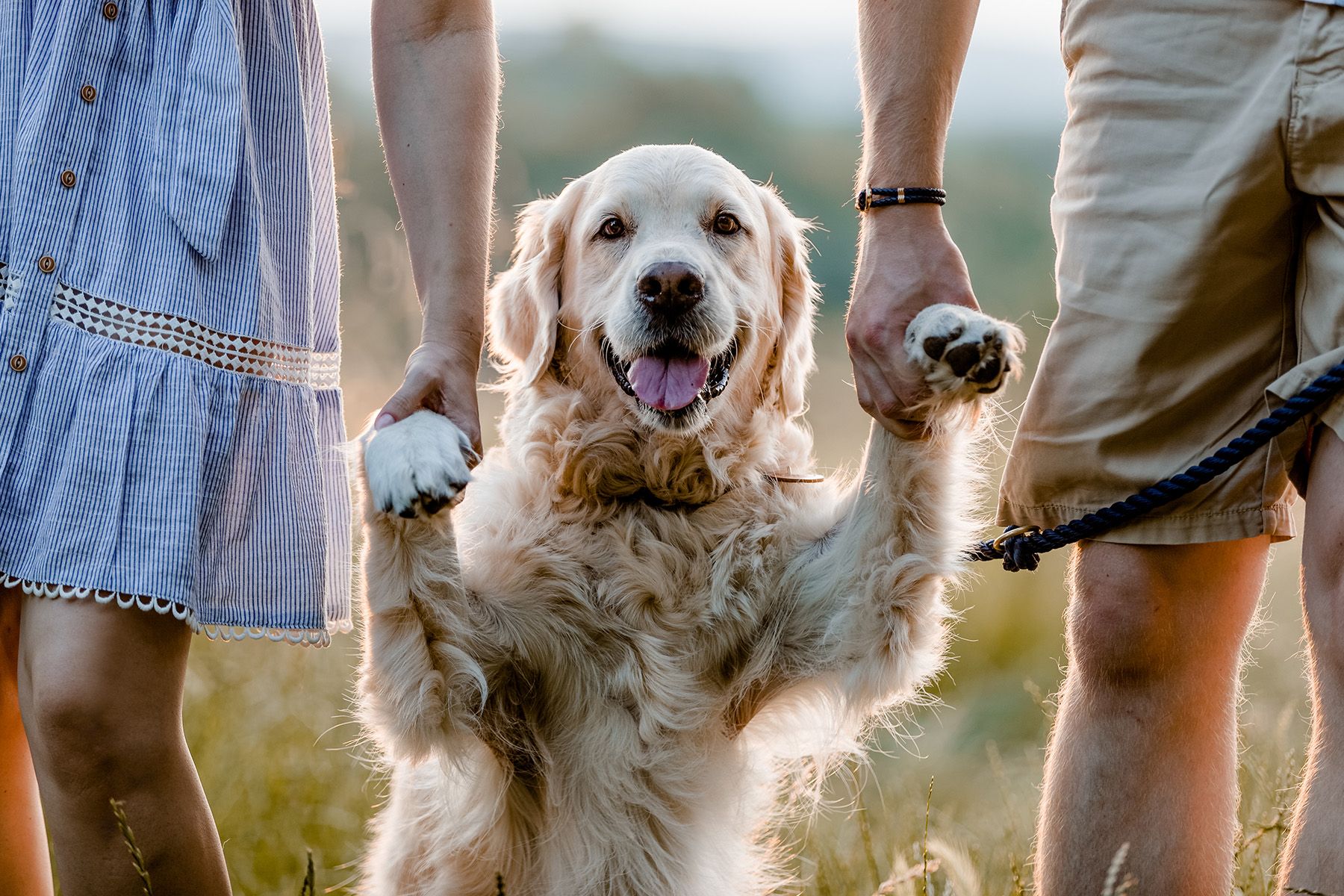 Familie mit Hund Fotoshooting