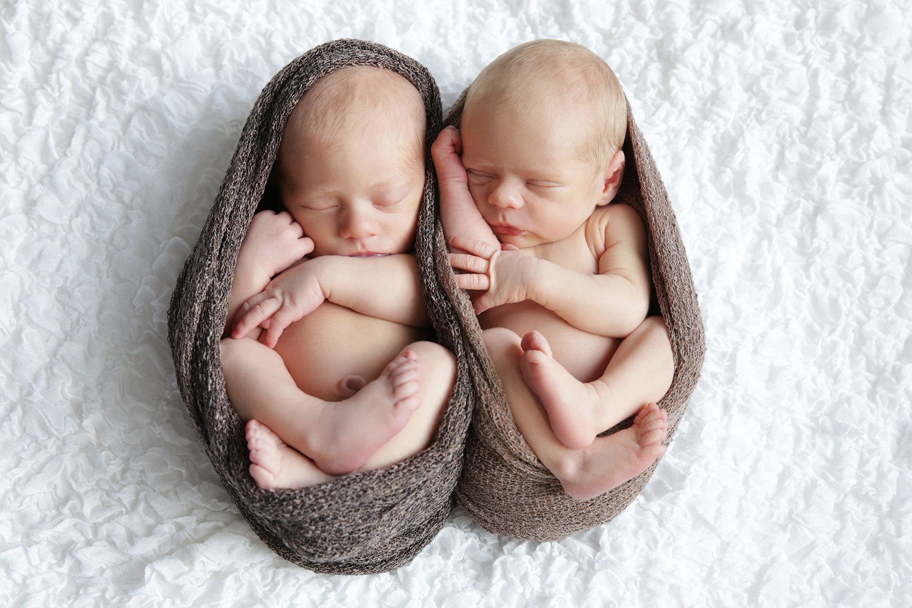 newborn twins shoot