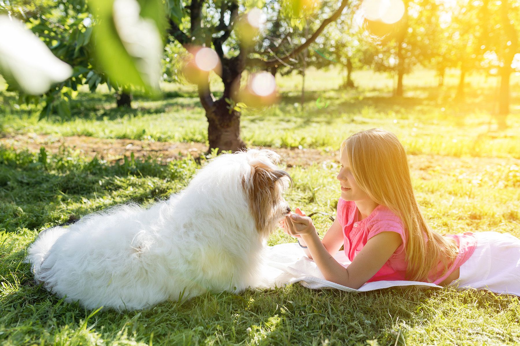 Fotoshooting Mädchen und Hund
